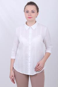 Т2669 - Блузка женская, Olsarri